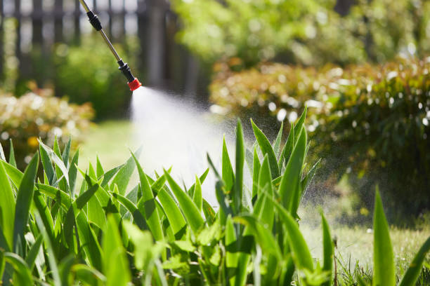 Tamper-Resistant Bait Stations for Rodents in Beresford