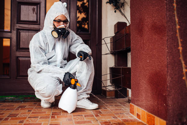 Attic and Crawl Space Rodent Treatment in Beresford